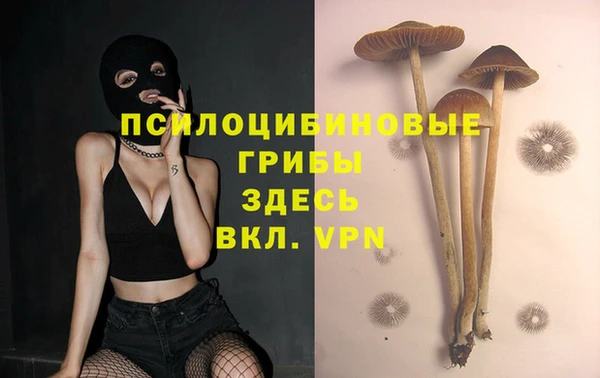 метадон Алексеевка
